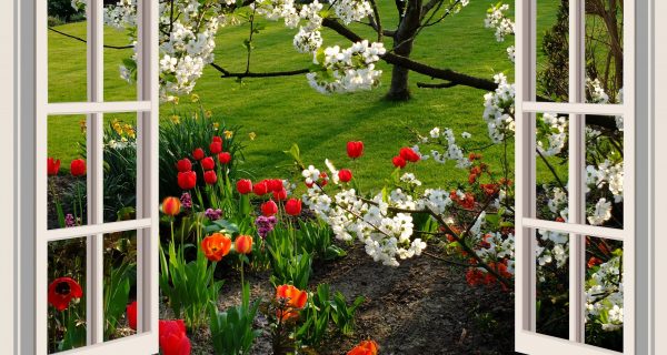 Canva - Open Window - flower garden