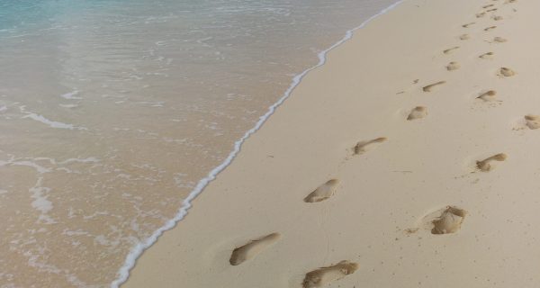 Canva – Footprints in the Sand Canva - Footprints in the Sand