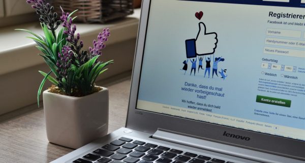 Canva – Laptop Near Plant Canva - Laptop Near Plant